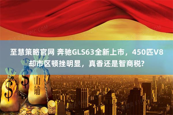 至慧策略官网 奔驰GLS63全新上市，450匹V8却市区顿挫明显，真香还是智商税?